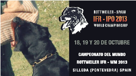 IFR IPO 2013 - IFR Rottweiler Weltmeisterschaft 2013